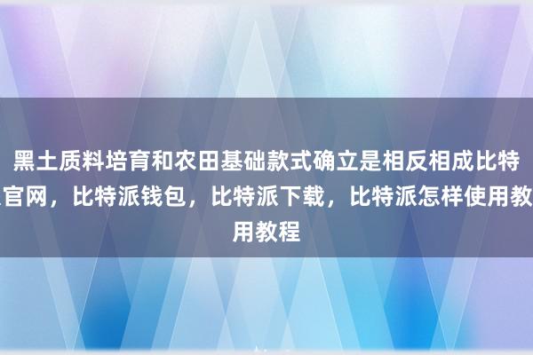 黑土质料培育和农田基础款式确立是相反相成比特派官网，比特派钱包，比特派下载，比特派怎样使用教程