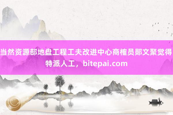 ”当然资源部地盘工程工夫改进中心商榷员郧文聚觉得比特派人工，bitepai.com