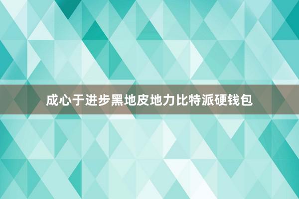 成心于进步黑地皮地力比特派硬钱包