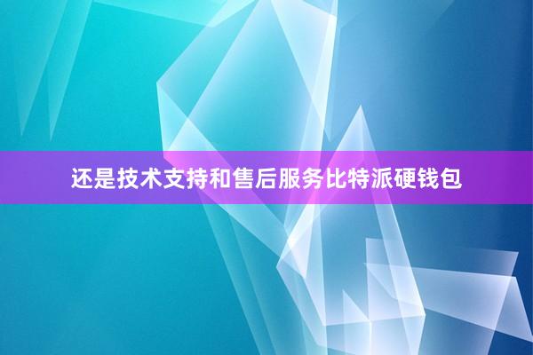 还是技术支持和售后服务比特派硬钱包