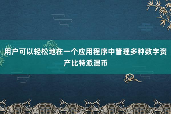 用户可以轻松地在一个应用程序中管理多种数字资产比特派混币