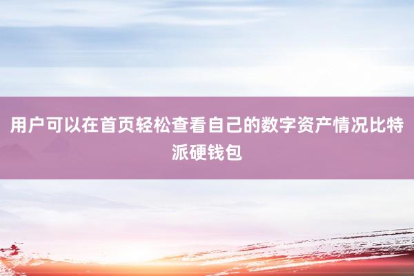 用户可以在首页轻松查看自己的数字资产情况比特派硬钱包