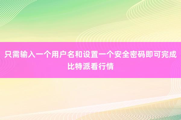 只需输入一个用户名和设置一个安全密码即可完成比特派看行情