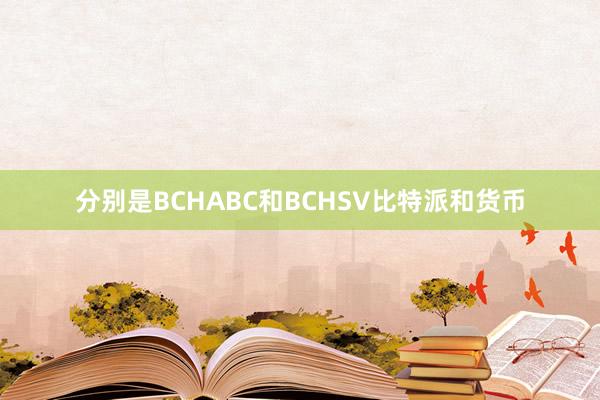 分别是BCHABC和BCHSV比特派和货币