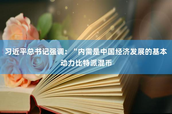 习近平总书记强调：“内需是中国经济发展的基本动力比特派混币