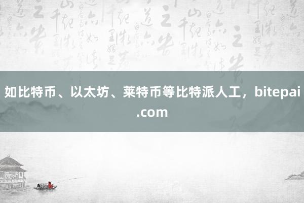 如比特币、以太坊、莱特币等比特派人工，bitepai.com