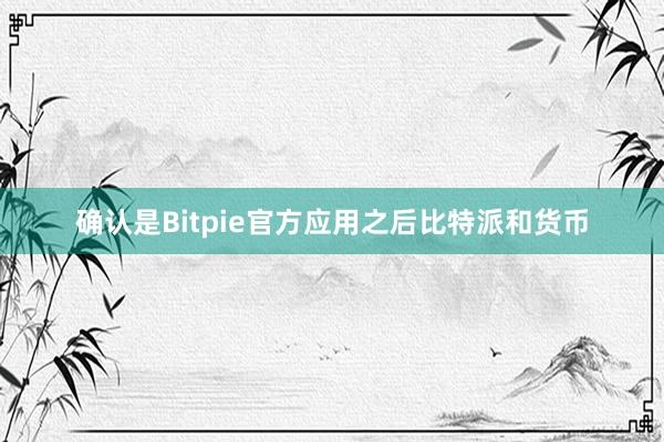 确认是Bitpie官方应用之后比特派和货币