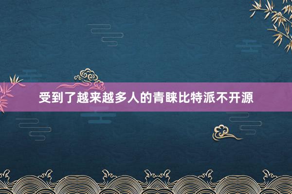 受到了越来越多人的青睐比特派不开源