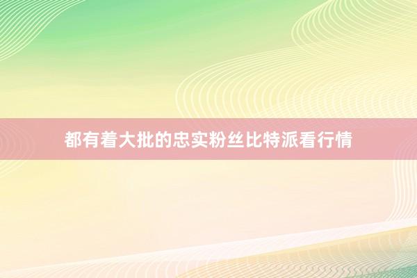 都有着大批的忠实粉丝比特派看行情