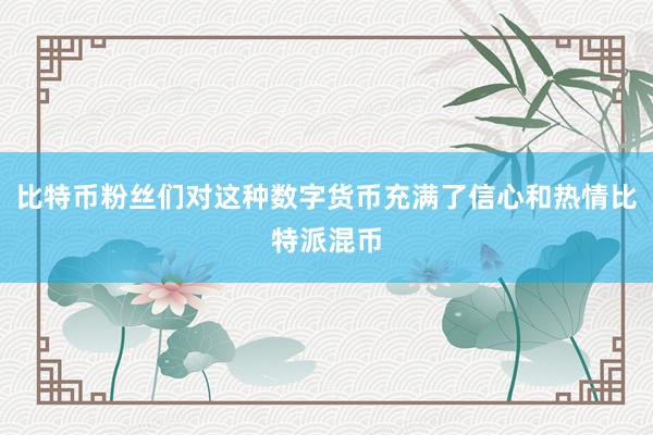 比特币粉丝们对这种数字货币充满了信心和热情比特派混币