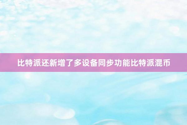 比特派还新增了多设备同步功能比特派混币