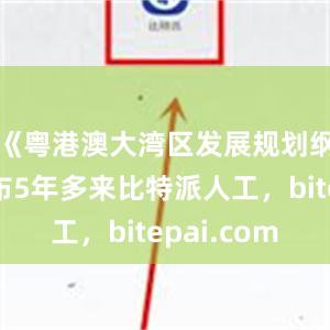 《粤港澳大湾区发展规划纲要》发布5年多来比特派人工，bitepai.com