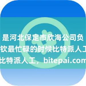 是河北保定市欣海公司负责人杨佩钦最忙碌的时候比特派人工，bitepai.com