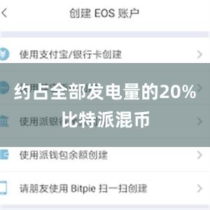 约占全部发电量的20%比特派混币